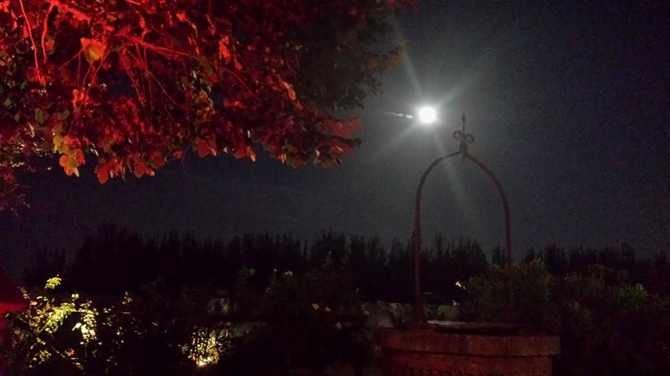 הוילה Massa Lombarda Agriturismo Ferretti מראה חיצוני תמונה
